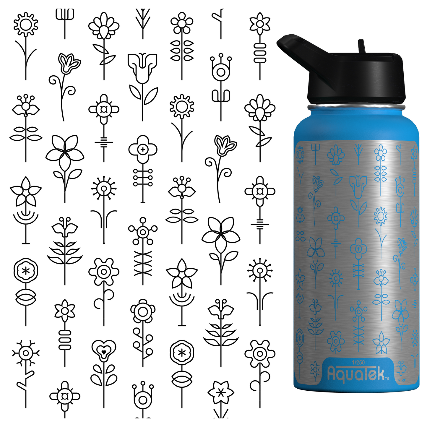 Flowers Bloom After Rain Falls