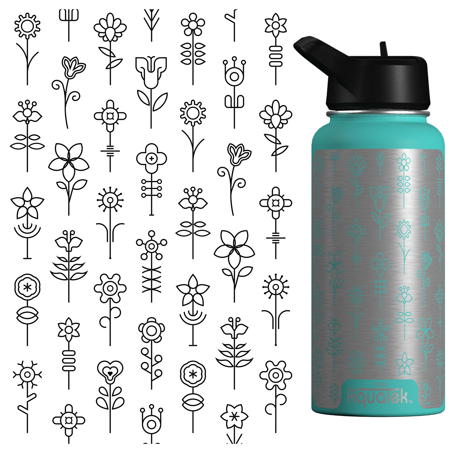 Flowers Bloom After Rain Falls