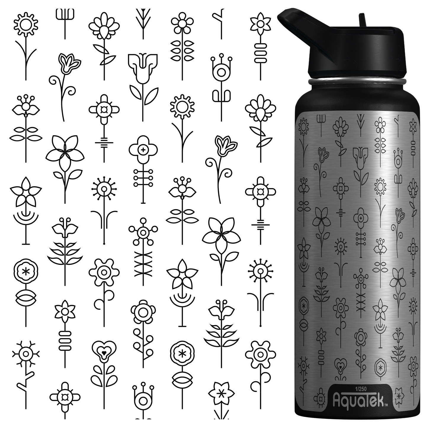 Flowers Bloom After Rain Falls