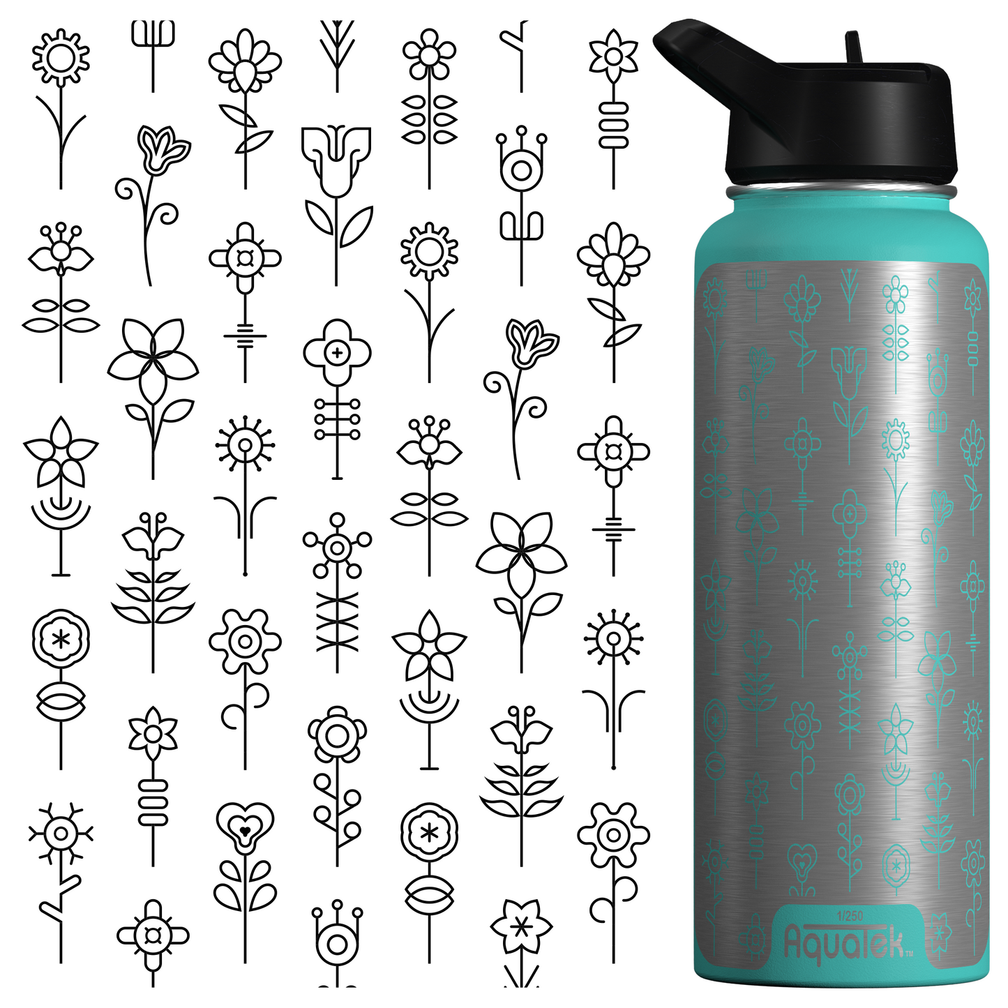 Flowers Bloom After Rain Falls